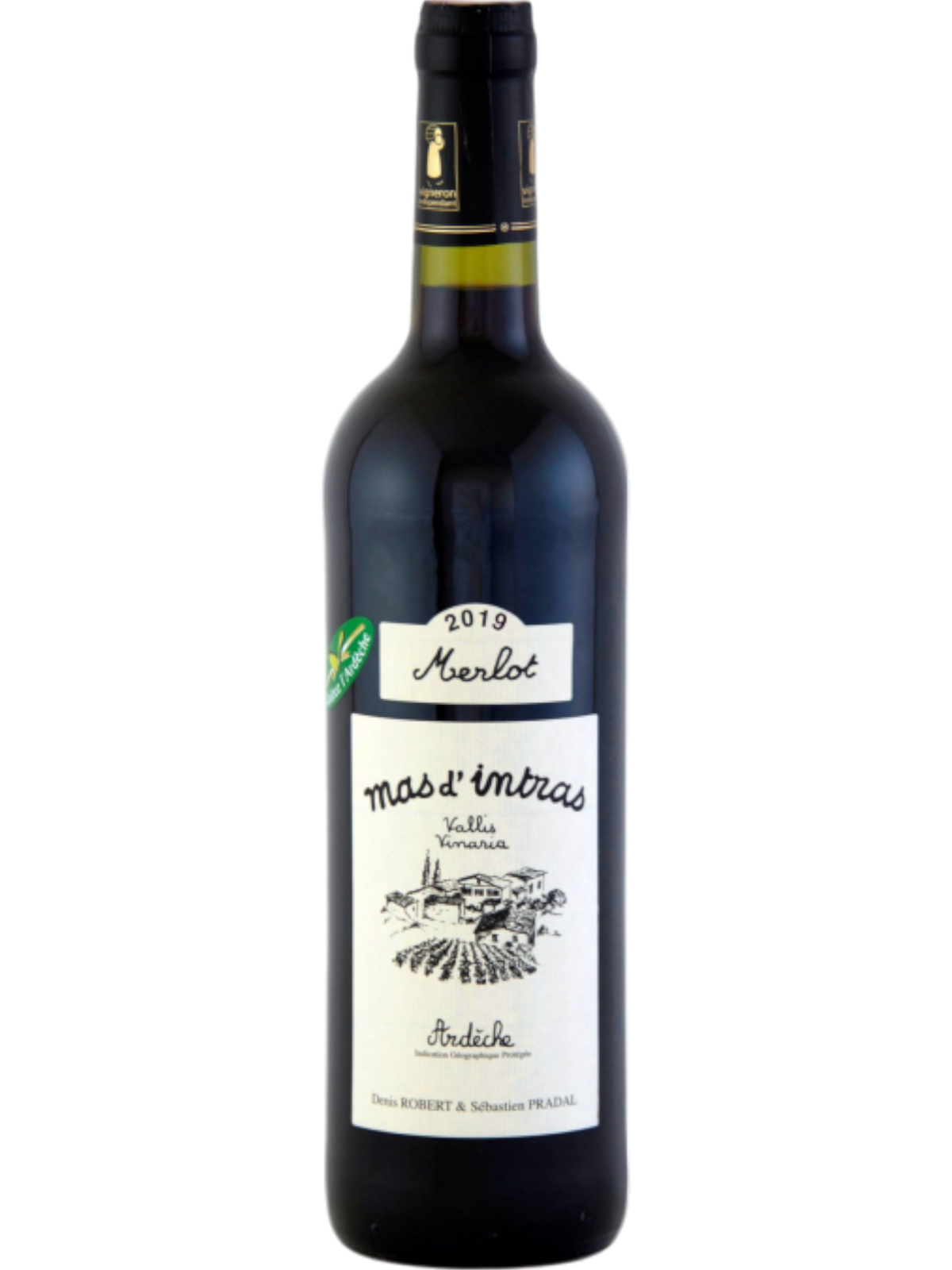Merlot 2024